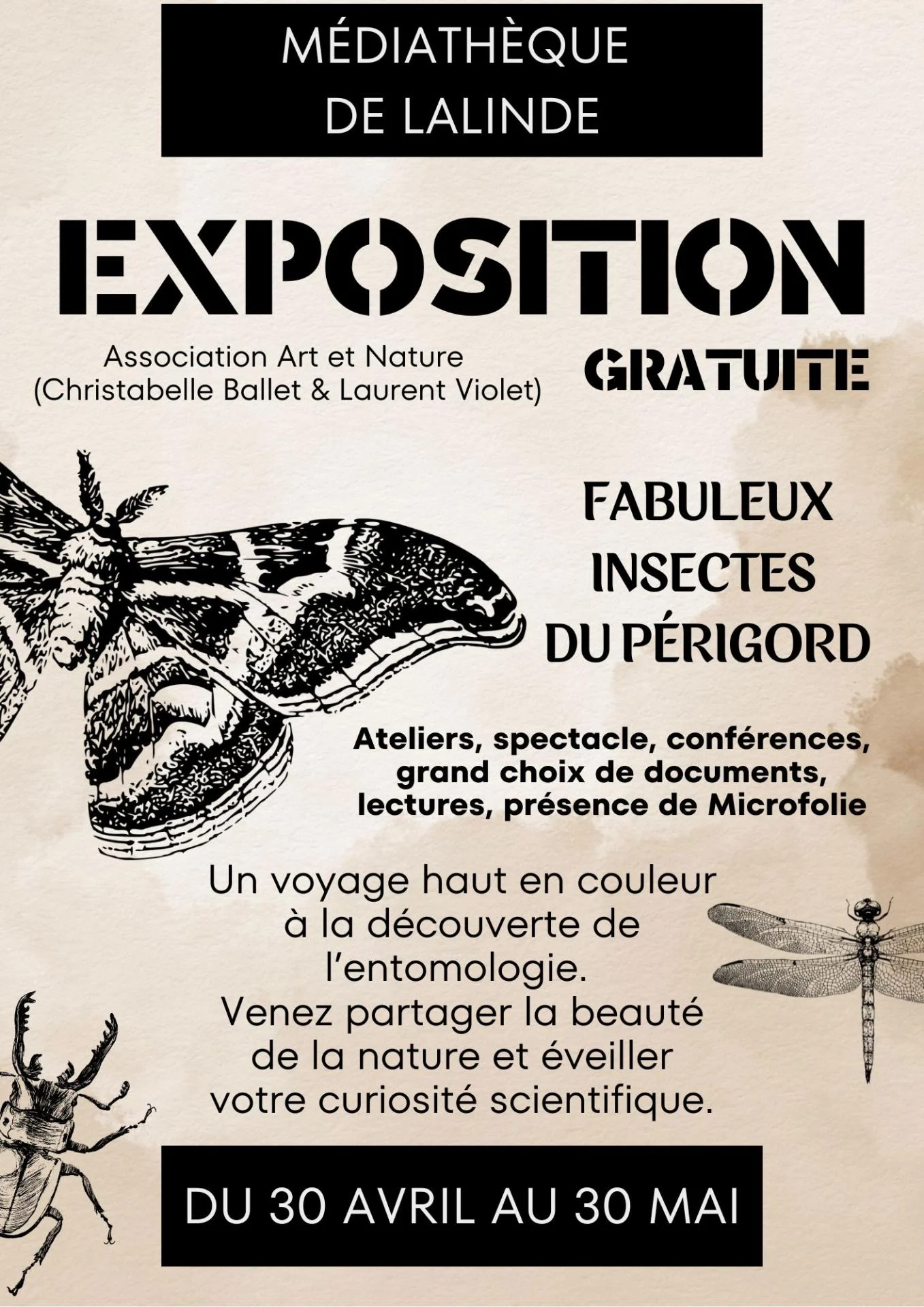 Affiche expo insectes 5